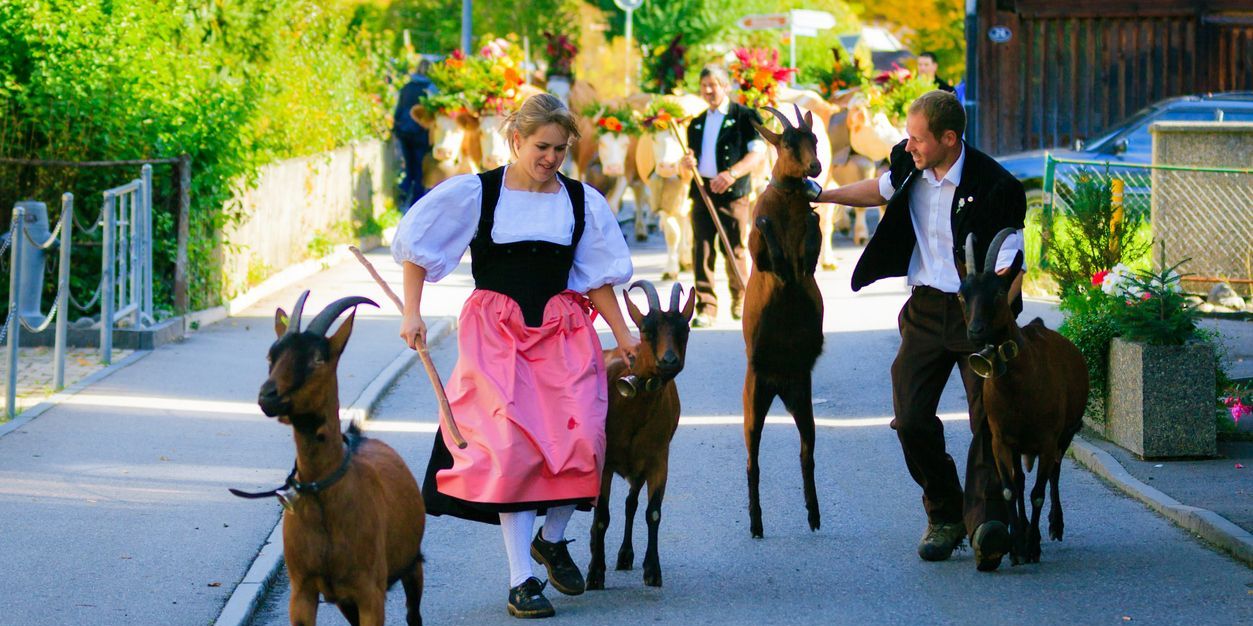 la-descente-des-alpages-annecy