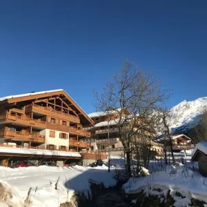 Locations alpes pieds des pistes