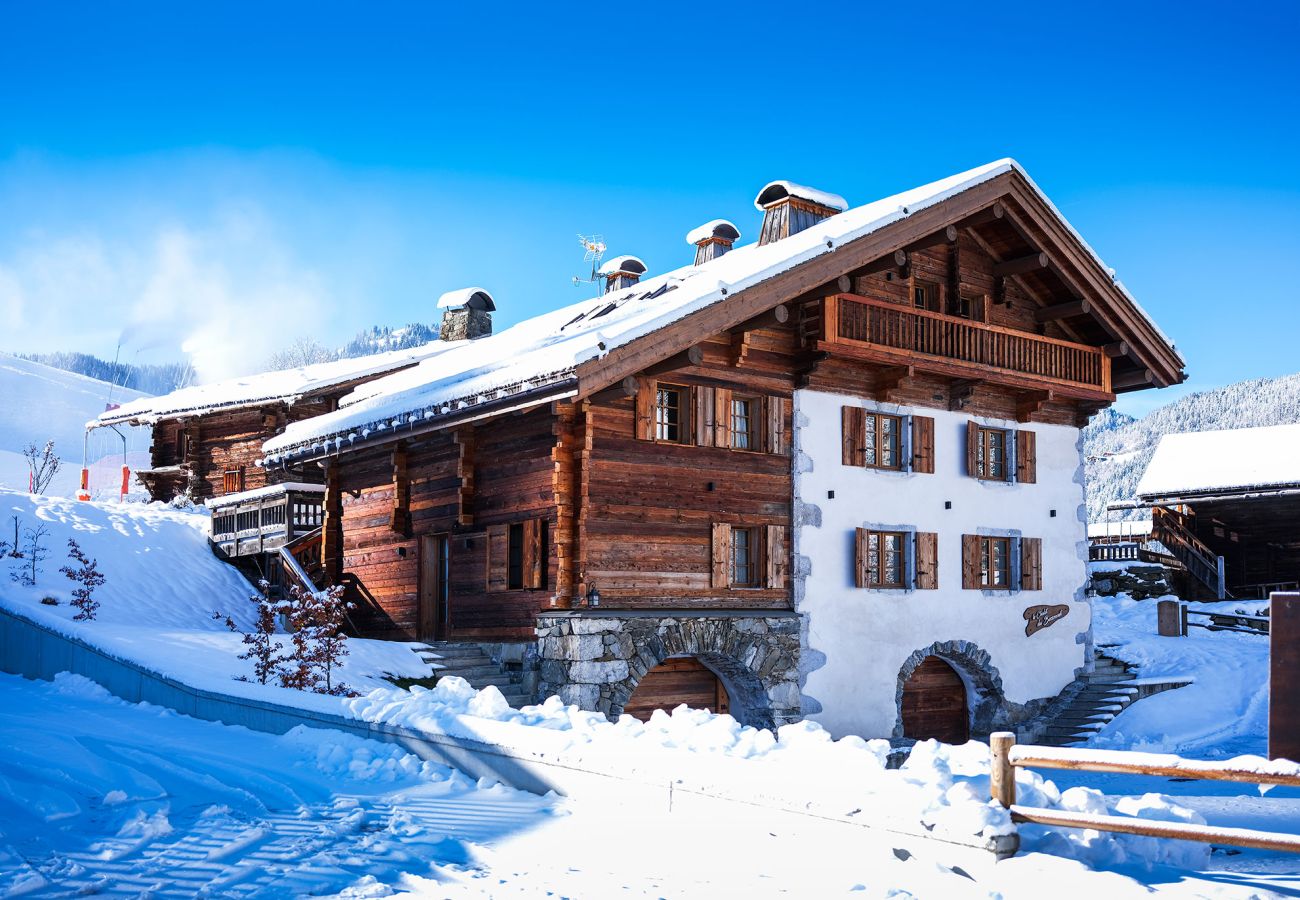 Chalet, luxury, jacuzzi, skis on, spacious, family holidays, 5 stars, 20 people, heart of the village, cocooning