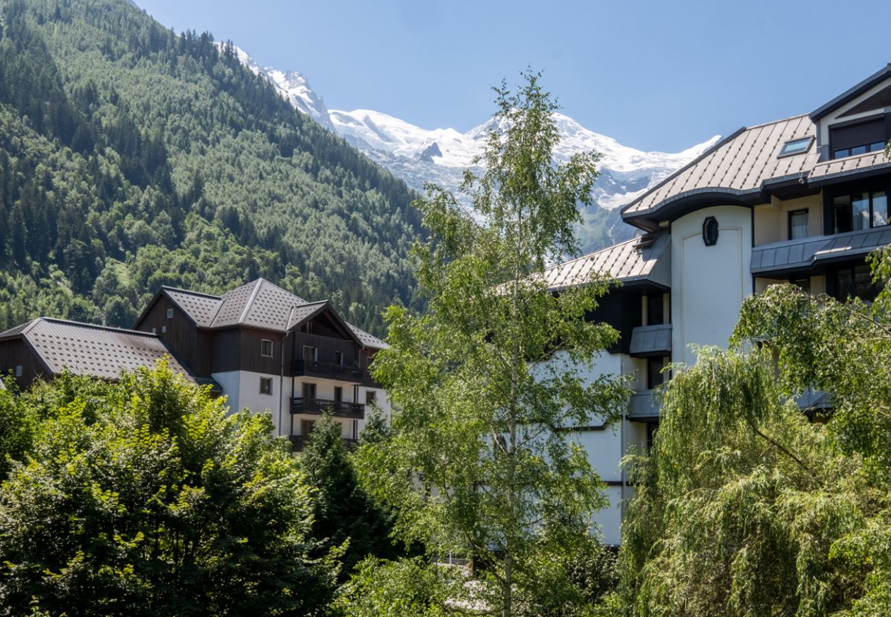 Apartment in Chamonix-Mont-Blanc - La Rose de Glace: Residence la Roseraie